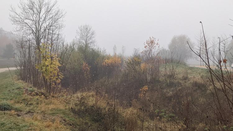 Grünanlage am zukünftigen Hachinger Bach